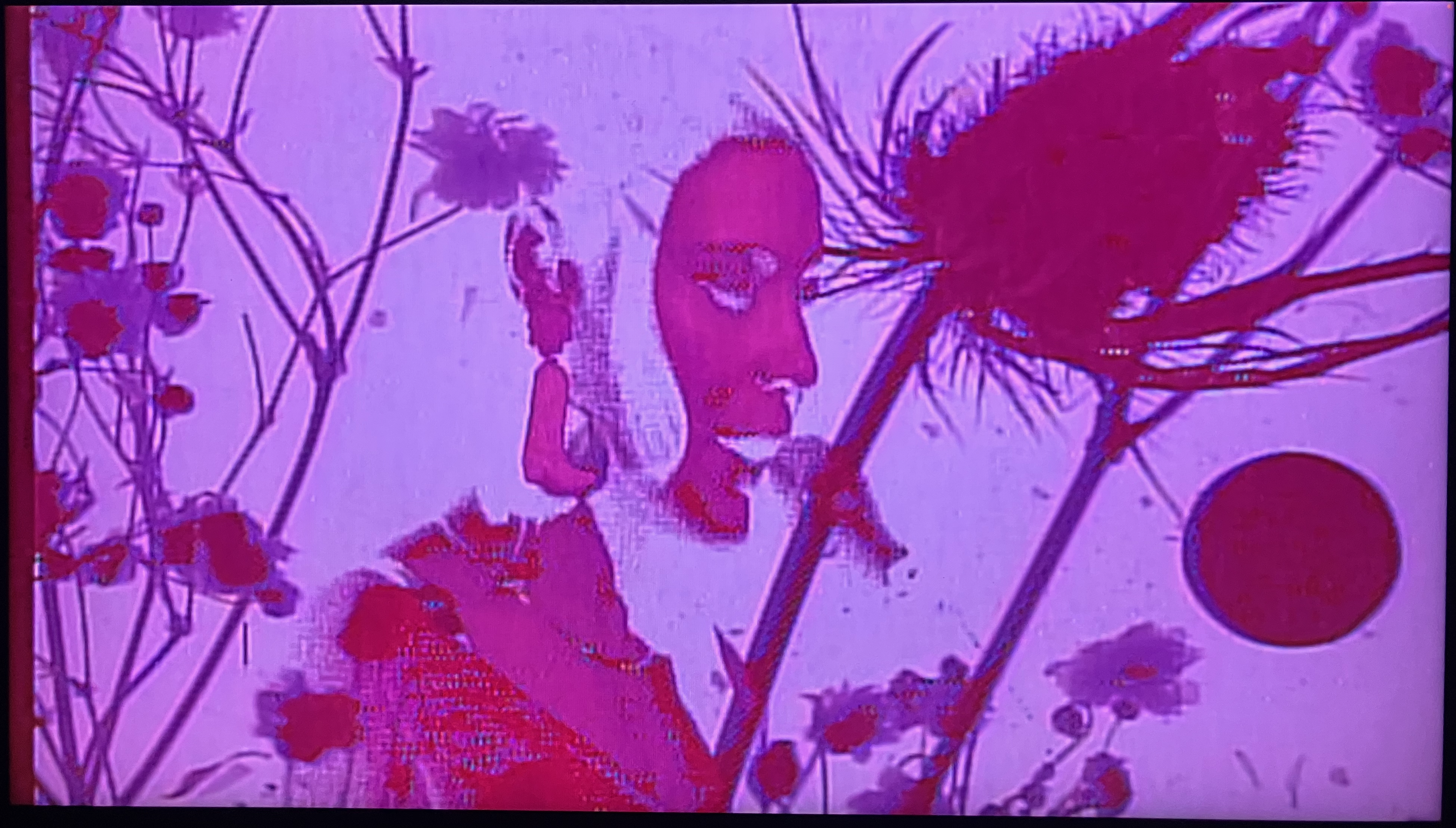 nate video capture